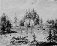 Blick nedifrån upp mot fallen