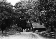 Dannemora