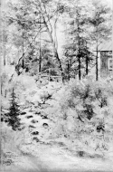 Parti med kvarnforsen