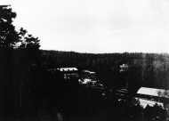 Granviks masugn