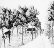 Allén och herrgården