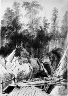 Stort gruvhål beläget inne i skogen