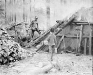 Scen vid milkolningen i skogen