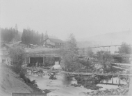 Sågen och dammen