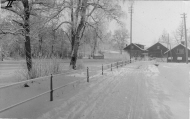 Kvarnen och sågen