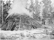I kolskogen