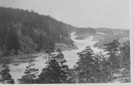 Vy över fallen
