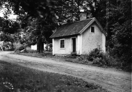 Dannemora