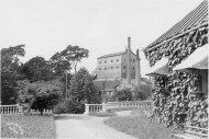 Tobo masugn