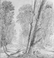 Parken