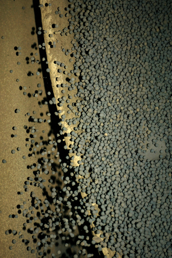 Pellets